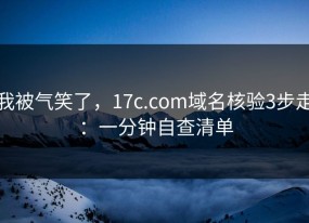 我被气笑了，17c.com域名核验3步走：一分钟自查清单