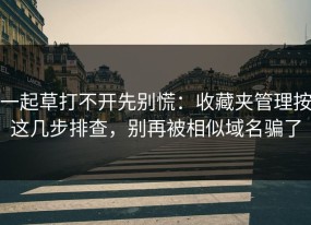 一起草打不开先别慌：收藏夹管理按这几步排查，别再被相似域名骗了