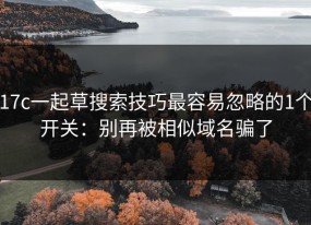 17c一起草搜索技巧最容易忽略的1个开关：别再被相似域名骗了