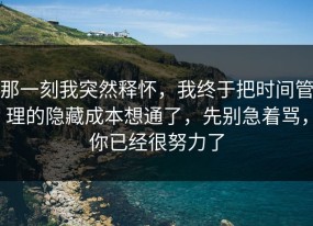 那一刻我突然释怀，我终于把时间管理的隐藏成本想通了，先别急着骂，你已经很努力了