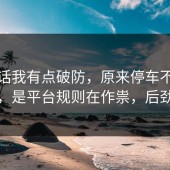 说实话我有点破防，原来停车不是看运气，是平台规则在作祟，后劲太大