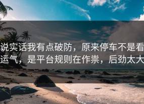 说实话我有点破防，原来停车不是看运气，是平台规则在作祟，后劲太大