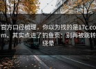 官方口径梳理，你以为找的是17c.com，其实点进了钓鱼页：别再被跳转绕晕