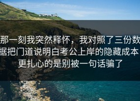 那一刻我突然释怀，我对照了三份数据把门道说明白考公上岸的隐藏成本，更扎心的是别被一句话骗了