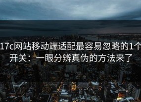 17c网站移动端适配最容易忽略的1个开关：一眼分辨真伪的方法来了