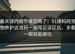最关键的细节被忽略了：91爆料网宠物养护这波捋一遍常见误区后，多看一眼就能避坑