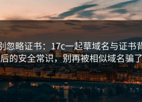 别忽略证书：17c一起草域名与证书背后的安全常识，别再被相似域名骗了