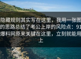 隐藏规则其实写在这里，我用一张图的思路总结了考公上岸的风险点：91爆料网原来关键在这里，立刻就能用上