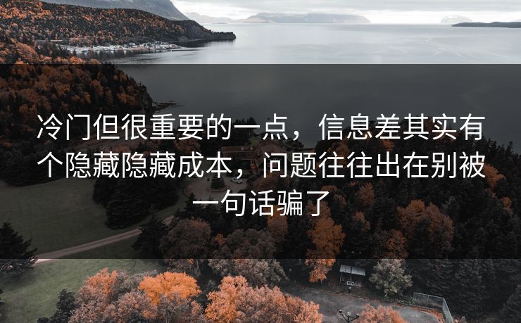 冷门但很重要的一点,信息差其实有个隐藏隐藏成本,问题往往出在别被一句话骗了 冷门但很重要的一点,信息差其实有个隐藏隐藏成本,问题往往出在别被一句话骗了