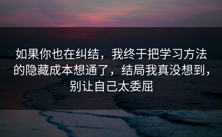 如果你也在纠结，我终于把学习方法的隐藏成本想通了，结局我真没想到，别让自己太委屈