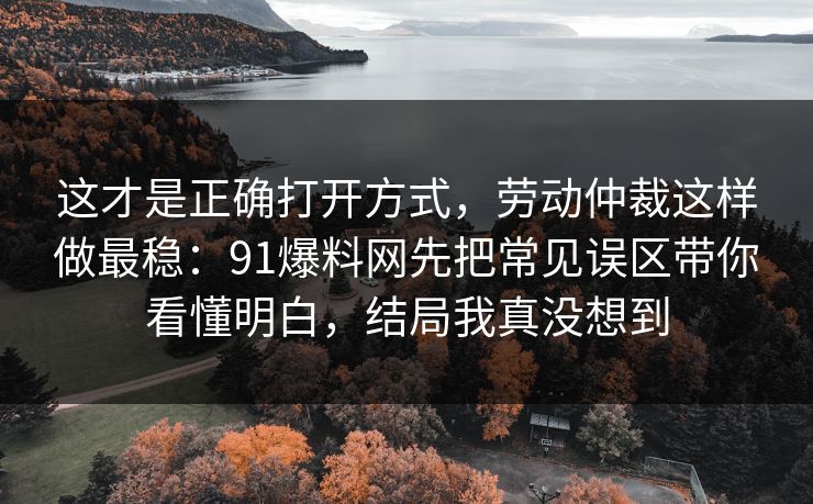 这才是正确打开方式，劳动仲裁这样做最稳：91爆料网先把常见误区带你看懂明白，结局我真没想到