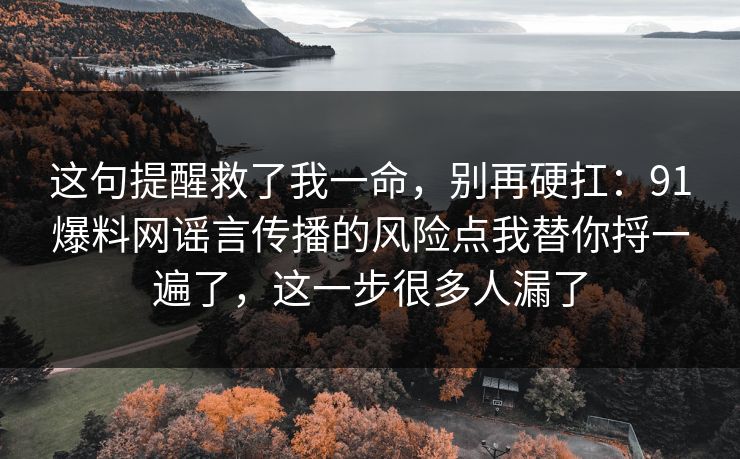 这句提醒救了我一命，别再硬扛：91爆料网谣言传播的风险点我替你捋一遍了，这一步很多人漏了