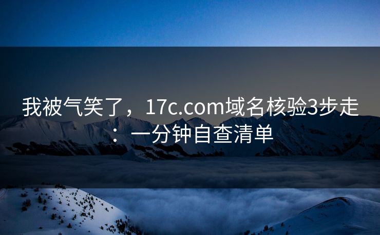 我被气笑了，17c.com域名核验3步走：一分钟自查清单