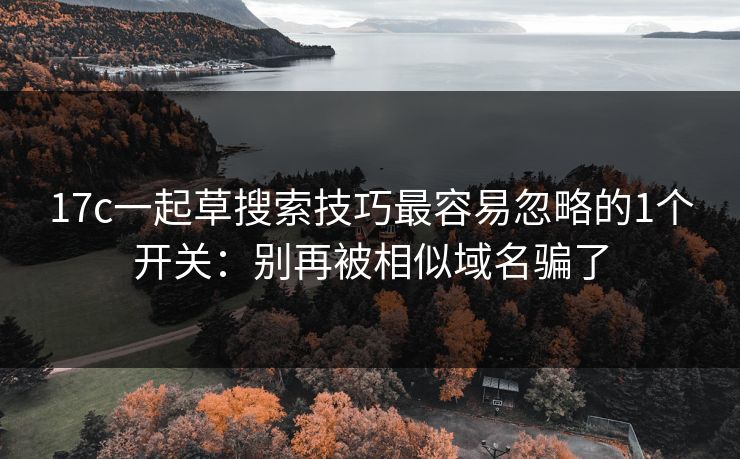 17c一起草搜索技巧最容易忽略的1个开关：别再被相似域名骗了