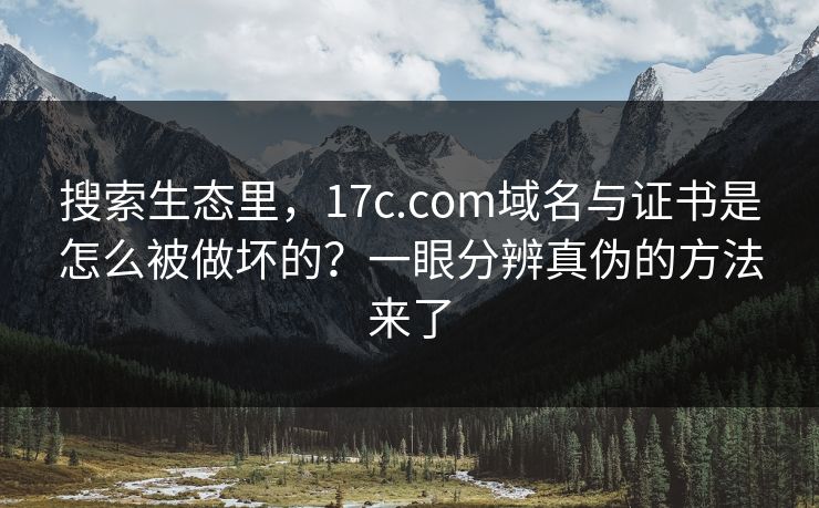 搜索生态里，17c.com域名与证书是怎么被做坏的？一眼分辨真伪的方法来了