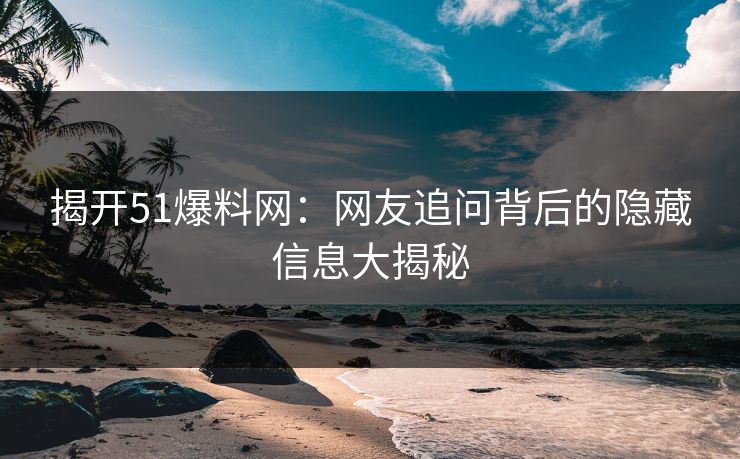 揭开51爆料网：网友追问背后的隐藏信息大揭秘